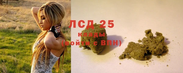 ПСИЛОЦИБИНОВЫЕ ГРИБЫ Абдулино