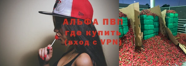 гашик Абаза