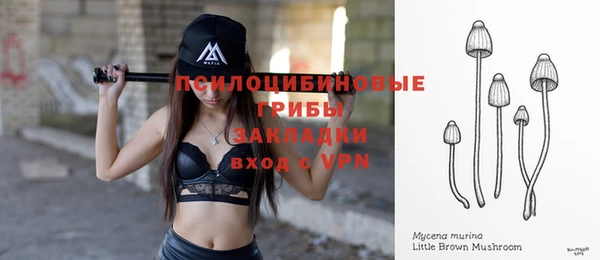 амф Алзамай