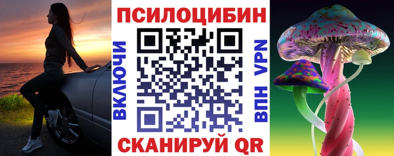Псилоцибиновые грибы Cubensis Северская