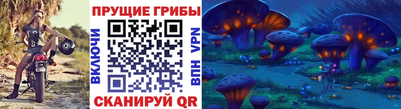 Псилоцибиновые грибы ЛСД  hydra вход  Северская  дарнет шоп 