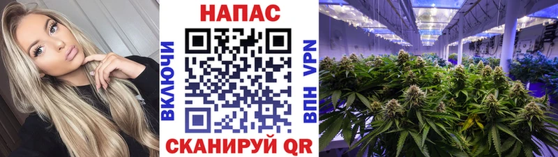 МАРИХУАНА тримм это Telegram Северская